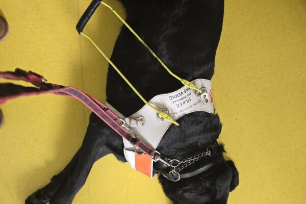 599949574_1165998972377696_1801396070058743740_n